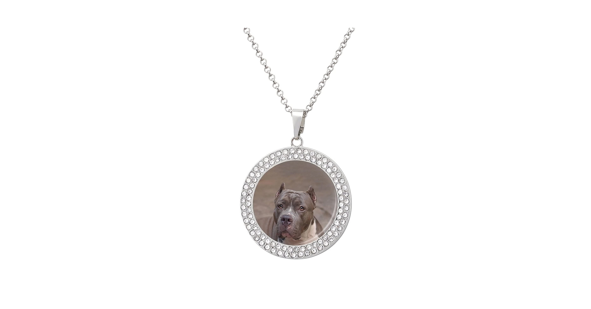 Amazon.co.jp: ピットブル犬 ネックレスかわいいペンダント